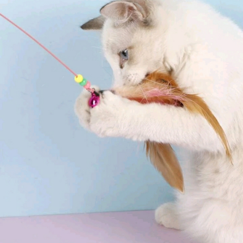 Cat Mom Accessories Box for Her Cat themed Treats and Toys for Kitty Cats - Picture 8 of 12